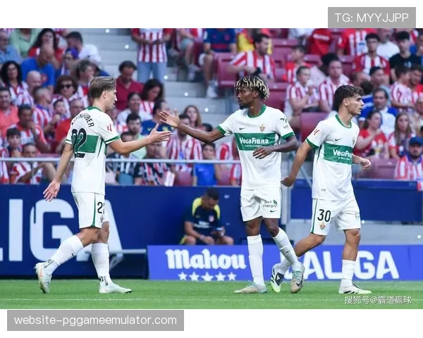 深度报道:从黑马到降级区,埃尔切赛季轨迹分析